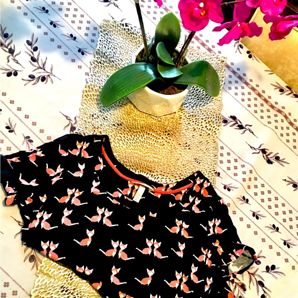 🐈‍⬛ Red Gingham Cat Print Night Shirt 🐈‍⬛